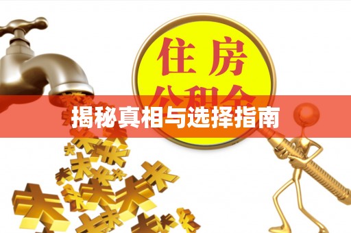 正蓝旗揭秘真相与选择指南