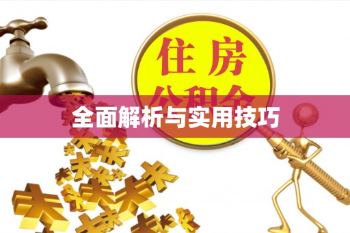正蓝旗全面解析与实用技巧