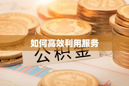 正蓝旗如何高效利用服务