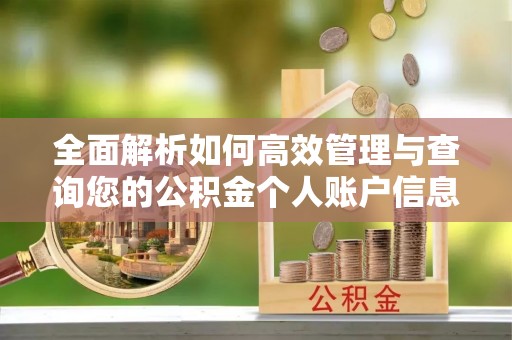 正蓝旗全面解析如何高效管理与查询您的公积金个人账户信息