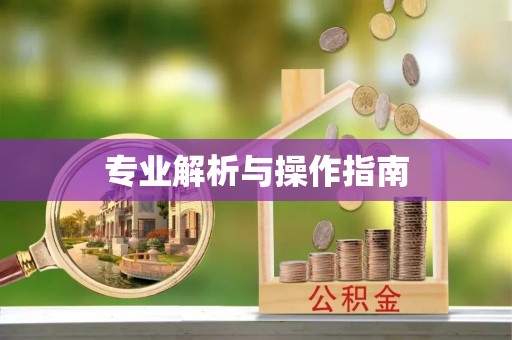 正蓝旗专业解析与操作指南