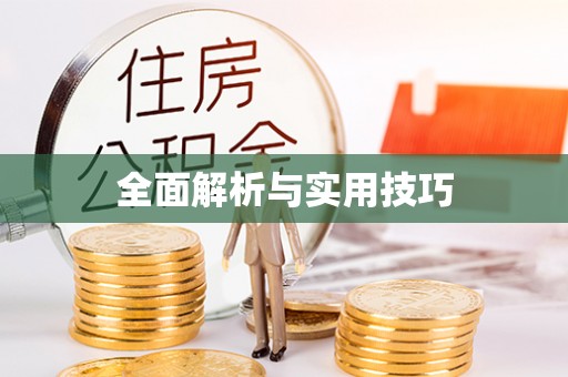 正蓝旗全面解析与实用技巧