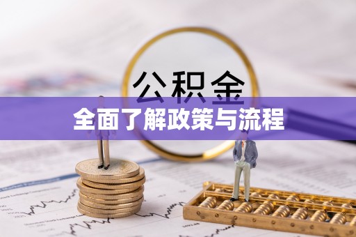 正蓝旗全面了解政策与流程