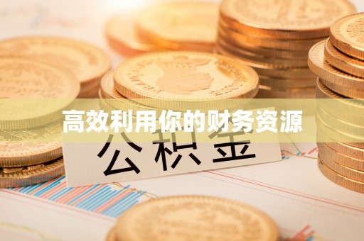 正蓝旗高效利用你的财务资源