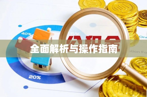 正蓝旗全面解析与操作指南